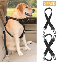 BravaPaw™ Travel Safety Tether