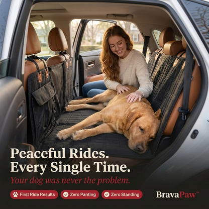 BravaPaw™ Hard Bottom Car Seat Cover