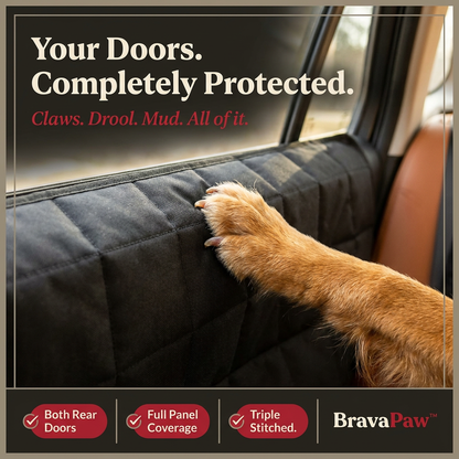 BravaPaw™ Hard Bottom Car Seat Cover