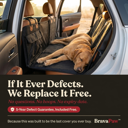 BravaPaw™ Hard Bottom Car Seat Cover